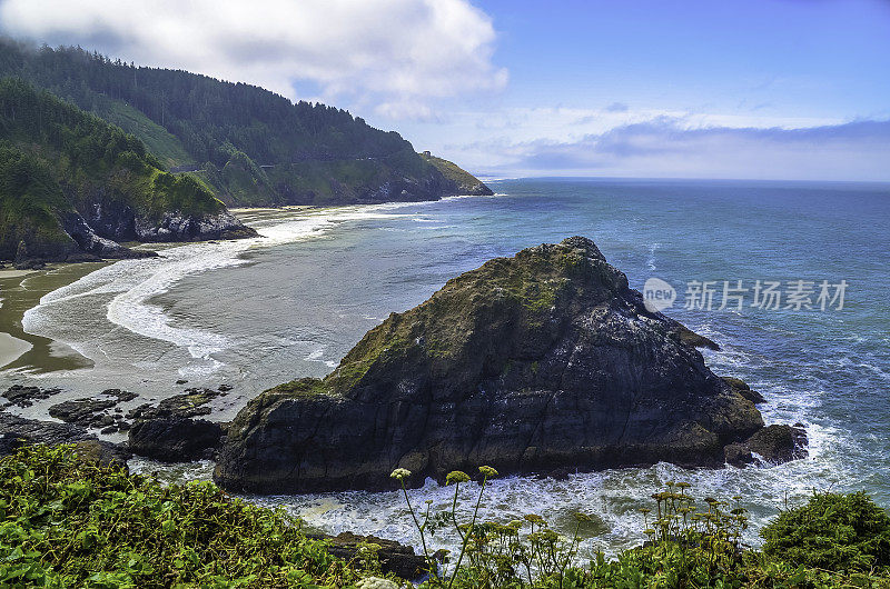 太平洋和俄勒冈海岸/海滩-沙子，冲浪，和茂密的森林